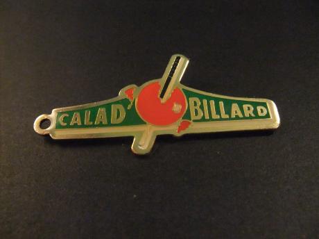 Calad Billard ( VILLEFRANCHE-SUR-SAONE) biljartclub Frankrijk)